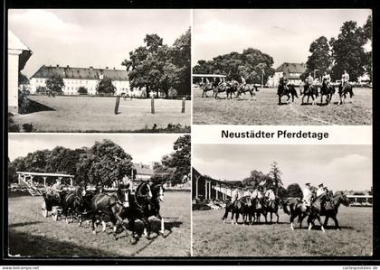 AK Neustadt /Dosse, Pferdetage, Reitvorführungen, Gespanne