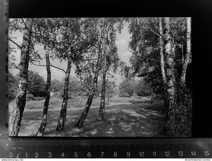 30035350 - Neustadt in Holstein