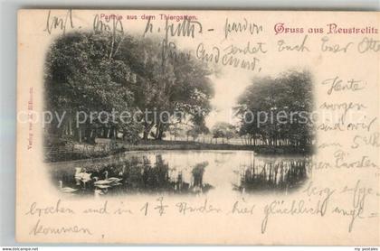 Neustrelitz Thiergarten