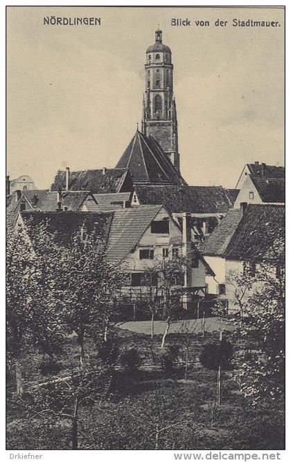 Nördlingen, Blick von der Stadtmauer zur Kirche, um 1918