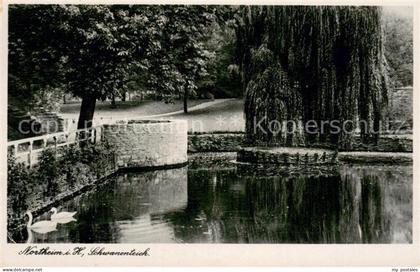 Northeim Schwanenteich