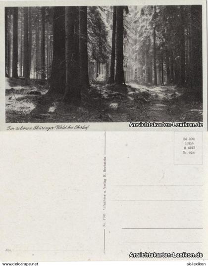 Oberhof (Thüringen) Im schönen Thüringer Wald bei Oberhof 1933