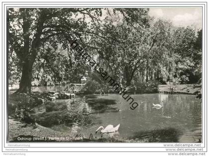 Ochtrup - Stadtpark - Fotokarte