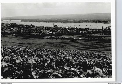 50413874 - Oestrich-Winkel