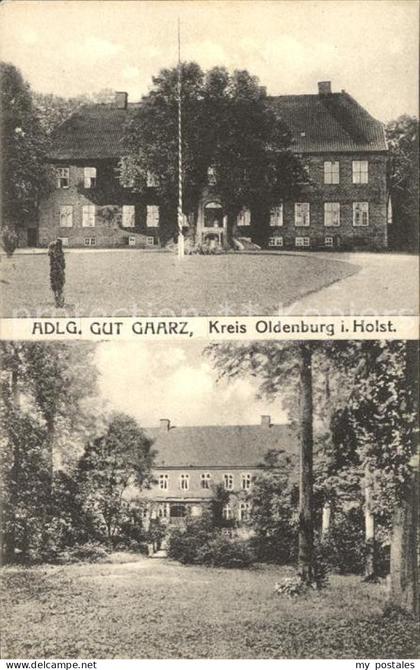 Oldenburg Holstein Gut Gaarz