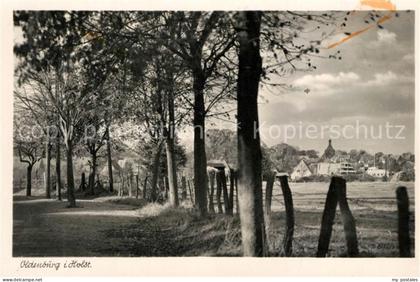 Oldenburg Holstein Panorama