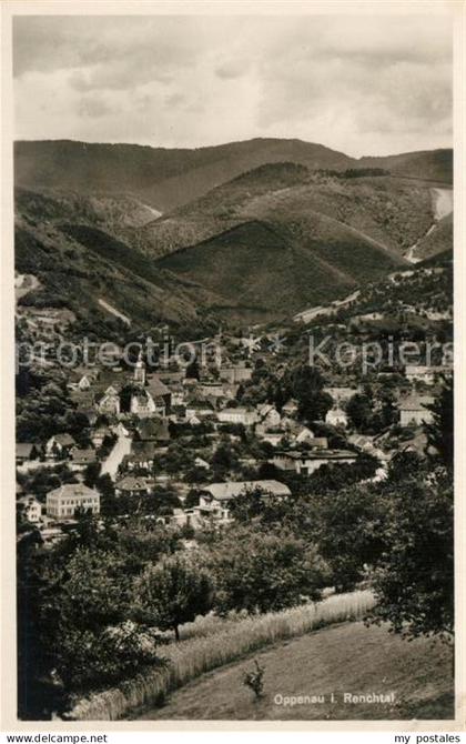 Oppenau Panorama