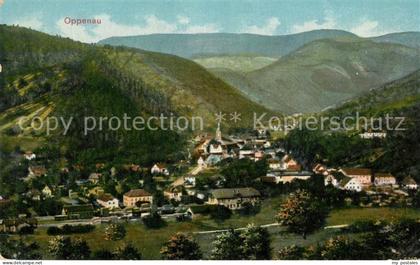 Oppenau Panorama