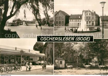 Oschersleben Bode Bodewehr Springbrunnen Lindenstrasse Kaufhalle Wildgehege