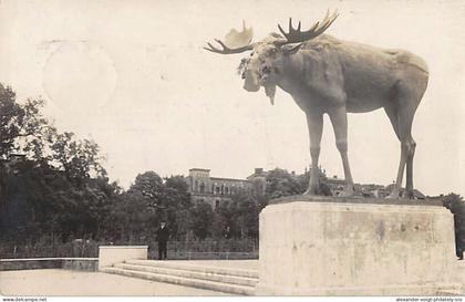 Tilsit (Sowetsk, Kaliningrad) - Elch, Original-Foto, 1928. Mit Ortsstempel "T...