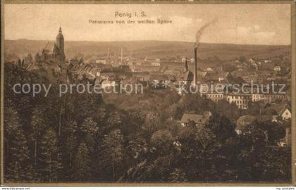 Penig Panorama