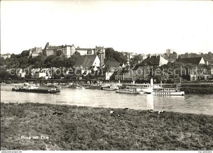 Pirna Elbepartie