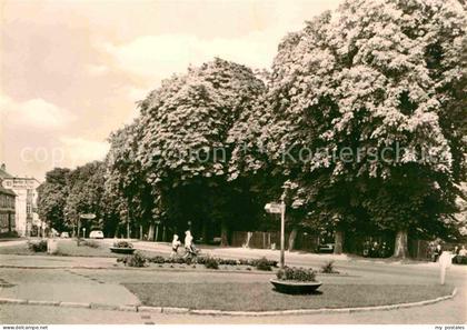 Plau See Burgplatz