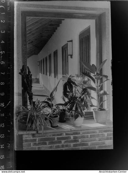 30071184 - Plettenberg