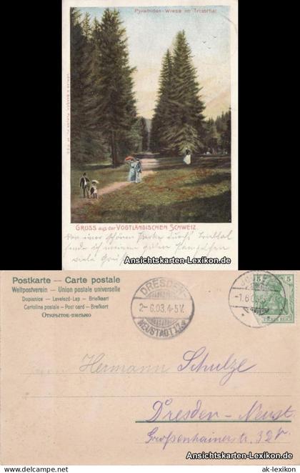 Ansichtskarte Pöhl Pyramiden-Wiese im Triebthal 1903