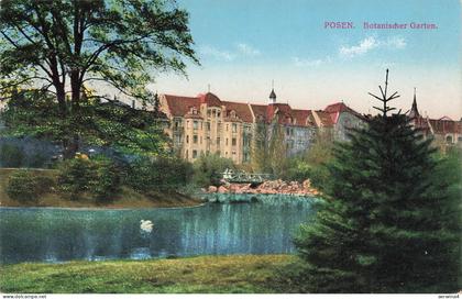 AK Posen Botanischer Garten Schwan Teich Posen ungelaufen Postkarte