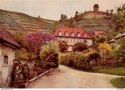 Radebeul Volksweingut Die Loessnitz blueht