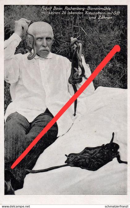 AK Rechenberg Bienenmühle Adolf Beier Kreuzotter Schlange Clausnitz Nassau Neuhausen Frauenstein Sayda Mulda Erzgebirge