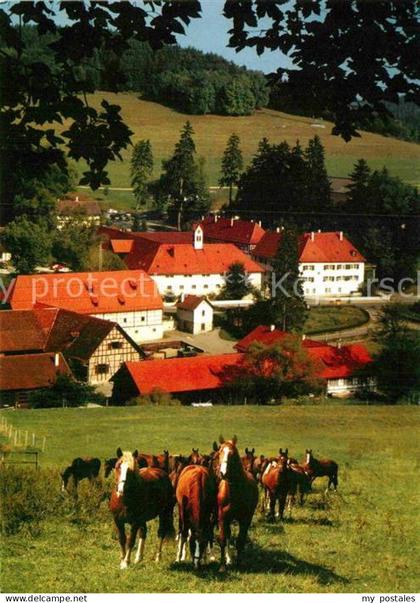 Marbach Reutlingen Haupt- und Landgestuet Marbach Gomadingen  Pferde