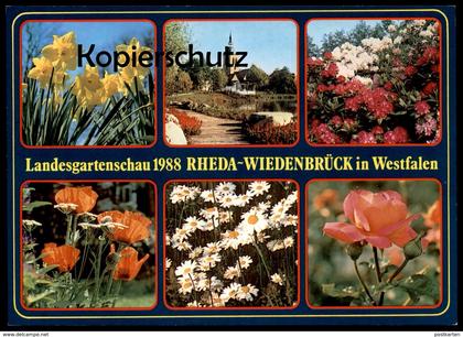 ÄLTERE POSTKARTE LANDESGARTENSCHAU 1988 REHDA-WIEDENBRÜCK Narzissen Narzisse daffodil cpa postcard AK Ansichtskarte