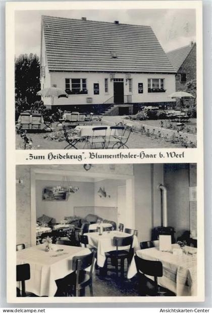 50852705 - Blumenthaler-Haar