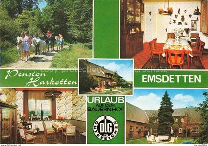 Emsdetten Pension Harkotten Gastraum Garten Ponyverleih