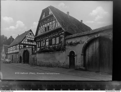 30049031 - Hassloch , Pfalz