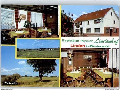 51095304 - Linden