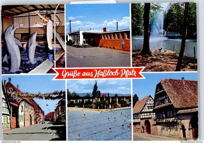 51282584 - Hassloch , Pfalz