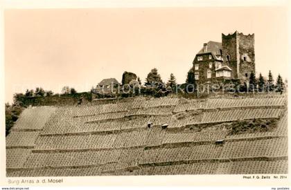 Alf Bullay Mosel Burg Arras