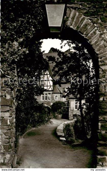 Alf Bullay Mosel Burg Arras