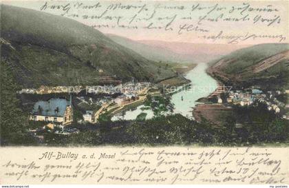 Alf Bullay Mosel Moselpartie Panorama
