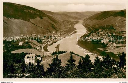 Alf Bullay Mosel Panorama