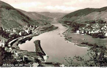 Alf Bullay Mosel Panorama Moselpartie