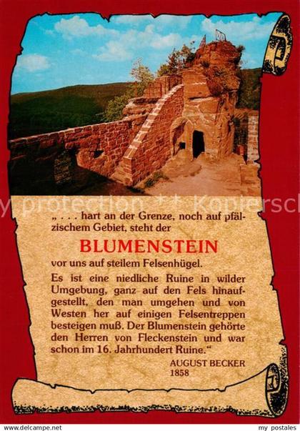 Blumenstein Burgruine Schoenau Pfalz Wasgau Burgansicht