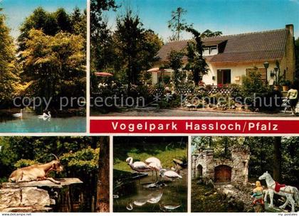 Hassloch Pfalz Vogelpark Hassloch Teilansichten