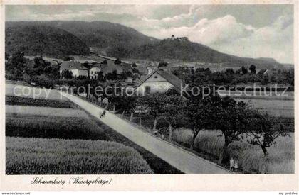 Schaumburg Rinteln Panorama
