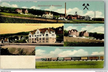 13646436 - Rossleben