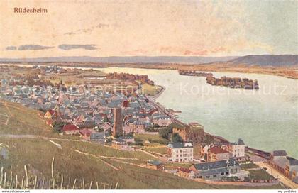 Ruedesheim Rhein Panorama