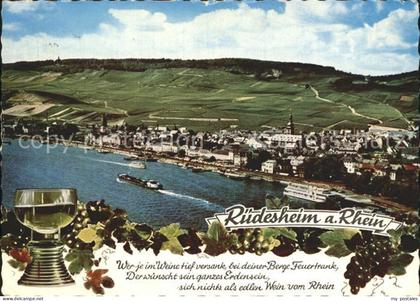 Ruedesheim Rhein Panorama