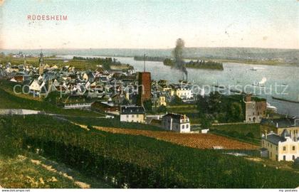 Ruedesheim Rhein Panorama