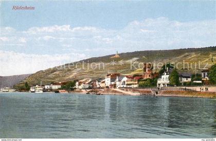 Ruedesheim Rhein Panorama