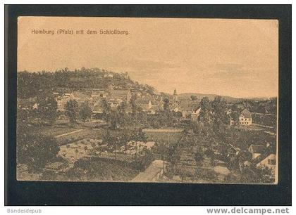 Homburg (Pfalz) mit dem Schlossberg (Martin)