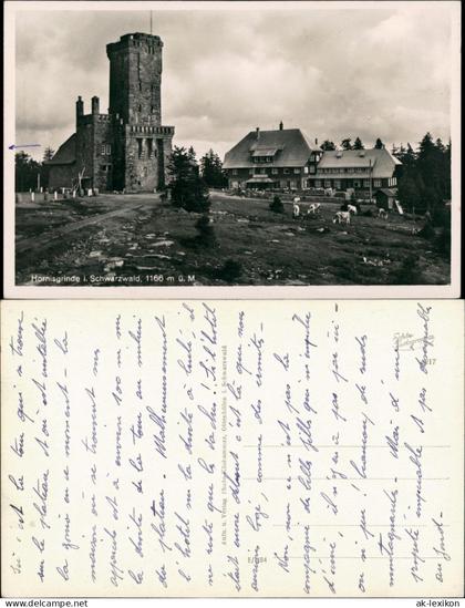 Ansichtskarte Sasbach (Ortenau) Hornisgrinde (Berg) 1934