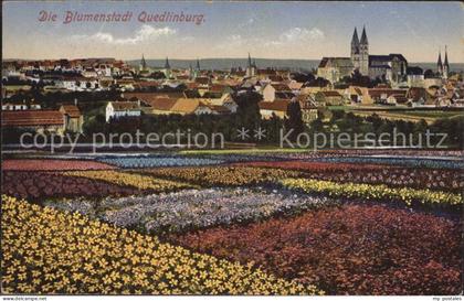 Quedlinburg Blumenstadt Kirche Ortsansicht Hilfslazarett Kaiserhof Quedlinburg