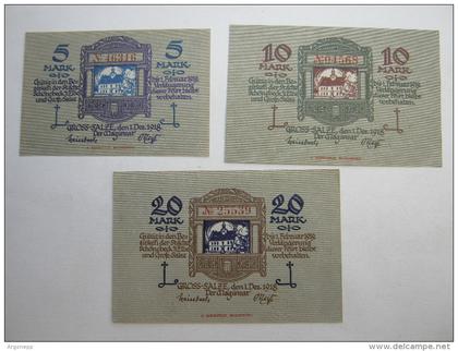 SCHÖNEBECK , Gross Salze, 3 Notgeldscheine in Luxuserhaltung