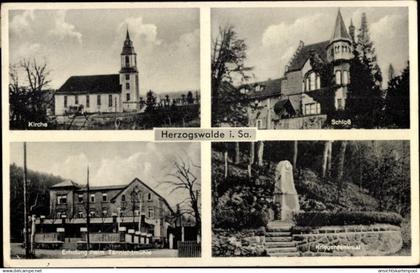 CPA Herzogswalde Wilsdruff in Sachsen, Schloss, Kirche, Erholungsheim Tännichtmühle, Kriegerdenkmal