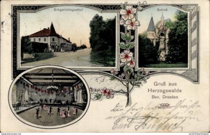 CPA Herzogswalde Wilsdruff Sachsen, Erbgerichtsgasthof, Schloss, Tanzsaal