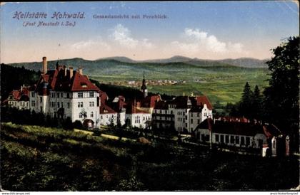 CPA Hohwald Neustadt in Sachsen, Heilstätte Hohwald, Gesamtansicht