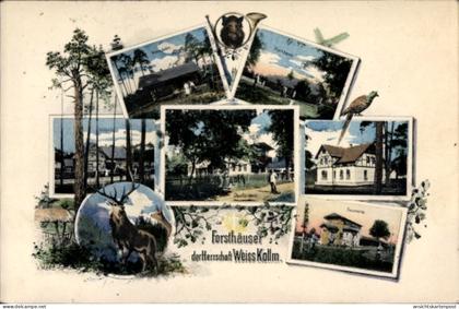 CPA Weißkollm Lohsa Oberlausitz, Forsthäuser der Herrschaft Weiss-Kollm